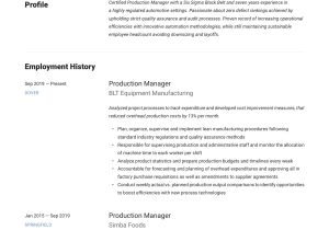 Production Planning and Control Manager Resume Samples Production Manager Resume & Writing Guide  12 Templates 2020