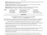 Professional Accounting and Finance Resumes Samples Accountant Resume Monster.com