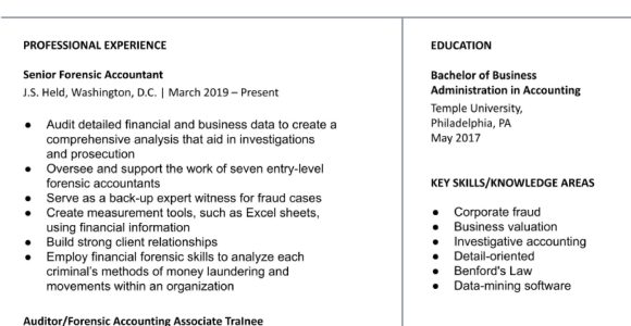 Professional Certified Public Accountant Resume Sample Certified Public Accountant (cpa) Resume Examples In 2022 …