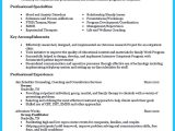 Professional Mental Health Counselor Resume Sample Cool Outstanding Counseling Resume Examples to Get Approved …