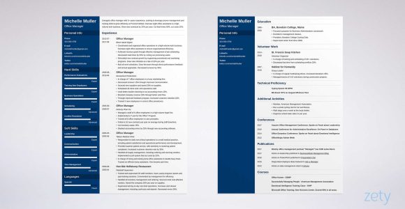 Professional Modern Engineering Resume Samples 2 Pages 2 Page Resume: Will It Crush Your Chances? (format & Tips)