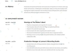 Professional Performing Musician S Resume Sample Musician Resume Examples & Writing Tips 2022 (free Guide) Â· Resume.io
