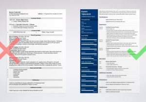 Professional Personal Fitness Trainer Sample Resumes Personal Trainer Resume Example (also with No Experience)