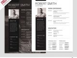 Professional Resume Design Templates Free Download Simple and Clean Resume Free Psd Template â Psdfreebies.com