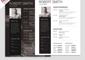 Professional Resume Design Templates Free Download Simple and Clean Resume Free Psd Template â Psdfreebies.com
