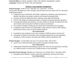 Professional Resume for Product Manager Sample How to Write A Product Manager Resume (plus Example!) the Muse