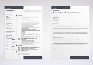 Professional Resume for Product Manager Sample Product Manager Resume Examples (guide & Template)