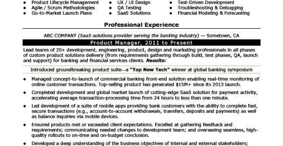 Professional Resume for Product Manager Sample Product Manager Resume Sample Monster.com