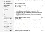 Professional Resume for Product Manager Sample Product Manager Resume Sample, Template, Example, Cv, formal …