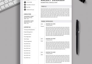 Professional Resume Free Resume Templates 2022 2021-2022 Pre-formatted Resume Template with Resume Icons, Fonts …