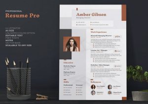 Professional Resume Free Resume Templates 2022 50lancarrezekiq Best Cv & Resume Templates 2022 Design Shack