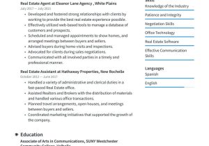 Professional Resume Sample for Real Estate Sales Real Estate Agent Resume Examples & Writing Tips 2022 (free Guide)