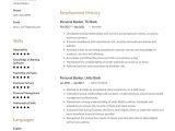 Professional Resume Samples for Banking Jobs Personal Banker Resume Examples & Writing Tips 2022 (free Guide)