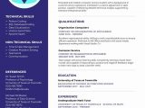 Professional Resume Template for College Students College Student Resume Examples and Templates Mypath
