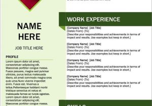 Professional Resume Templates for Freshers Free Download Resume Templates Word Free Download Resume Template Free, Free …