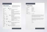Professional Resume with Gaps In Employment Sample How to Explain Gaps In Employment (resume & Cover Letter)