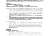 Professional Summary for Resume No Work Experience Sample 14 Professional Summary for Resume No Work Experience
