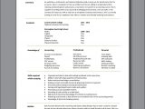 Professional Summary Resume Sample for Accountant Accountant assistant Cv Example Executive Resume, Accountant …