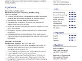 Professional Summary Resume Sample for Accountant Accountant Resume Example Cv Sample [2020] – Resumekraft