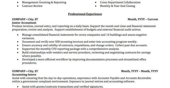 Professional Summary Resume Sample for Accountant Accounting, Auditing, & Bookkeeping Resume Samples Professional …