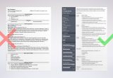 Professional Summary Resume Sample for Cashier Cashier Resume Examples (sample with Skills & Tips)