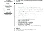 Professional Summary Resume Sample for Construction Construction Project Manager Resume Examples & Writing Tips 2022 (free