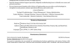Professional Summary Resume Sample for It It Professional Resume Sample
