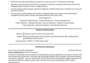 Professional Summary Resume Sample for It It Professional Resume Sample