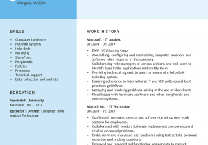 Professional Summary Resume Sample for It Professional Resume Examples Our Most Popular Resumes In
