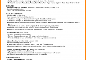 Professional Summary Resume Sample for It Resume Summary Examples