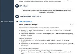 Professional Summary Resume Sample for Manager Resume Summary Guide 2020 Guide to Writing A Powerful Summary