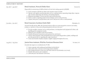 Professional Summary Resume Sample for Retail Retail Resume Examples 2022 Free Downloads Pdfs