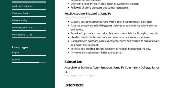 Professional Summary Resume Sample for Retail Retail Resume Examples & Writing Tips 2022 (free Guide) Â· Resume.io