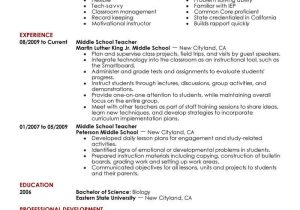 Professional Summary Resume Sample for Teachers Best Summer Teacher Resume Example From Professional
