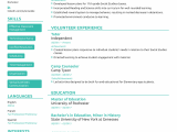 Professional Summary Resume Sample for Teachers Teacher Resume Example [w Free Template]