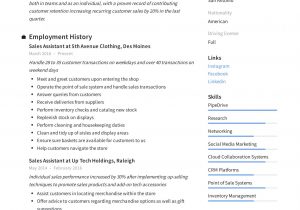 Profile Summary Sample for Sales Resume Resume for Sales assistant
