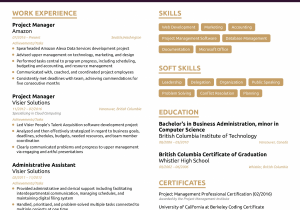 Project Management Resume Examples and Samples Project Manager Resume [2021] Example & Full Guide