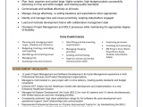 Project Manager Resume Sample Doc India Professional software Program Manager Resume Alluring