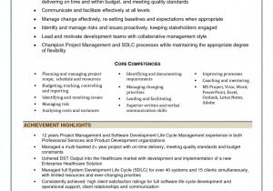 Project Manager Resume Sample Doc India Professional software Program Manager Resume Alluring