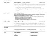 Project Manager Resume Sample Free Download 76 Free Resume Templates [2021] Pdf & Word Downloads