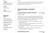 Project Manager Resume Sample Free Download Project Manager Resume Example Template Sample Cv