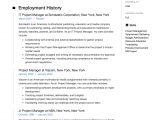 Project Manager Resume Sample Free Download Project Manager Resume & Full Guide