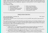 Project Manager Resume Sample Free Download Project Manager Resumes Samples 54 Examples