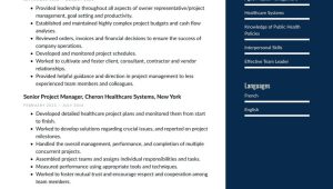 Project Manager Resume Sample Population Health Healthcare Project Manager Resume Examples & Writing Tips 2022 (free