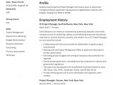 Project Manager Resume Template Free Download 20 Project Manager Resume Examples & Full Guide Pdf & Word 2021 Project Manager Resume Template Free Download 20 Project Manager Resume Examples & Full Guide Pdf & Word 2021