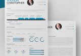 Project Manager Resume Template Free Download Project Manager Resume Template – 10lancarrezekiq Free Word, Excel, Pdf format …