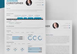 Project Manager Resume Template Free Download Project Manager Resume Template – 10lancarrezekiq Free Word, Excel, Pdf format …