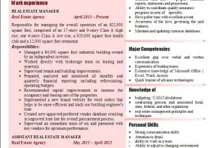 Real Estate Manager Resume Sample India Real Estate Manager Resume 2017 Examples