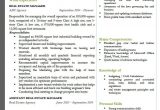 Real Estate Manager Resume Sample India Real Estate Manager Resume Examples 2018 Resume 2018