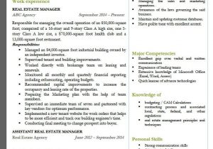 Real Estate Manager Resume Sample India Real Estate Manager Resume Examples 2018 Resume 2018